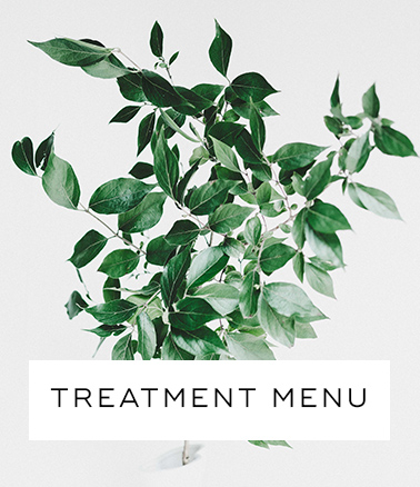 treatment menu